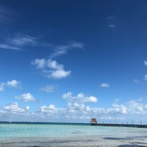 Meet your Posher, Anita